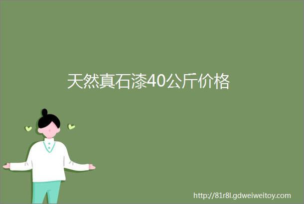 天然真石漆40公斤价格